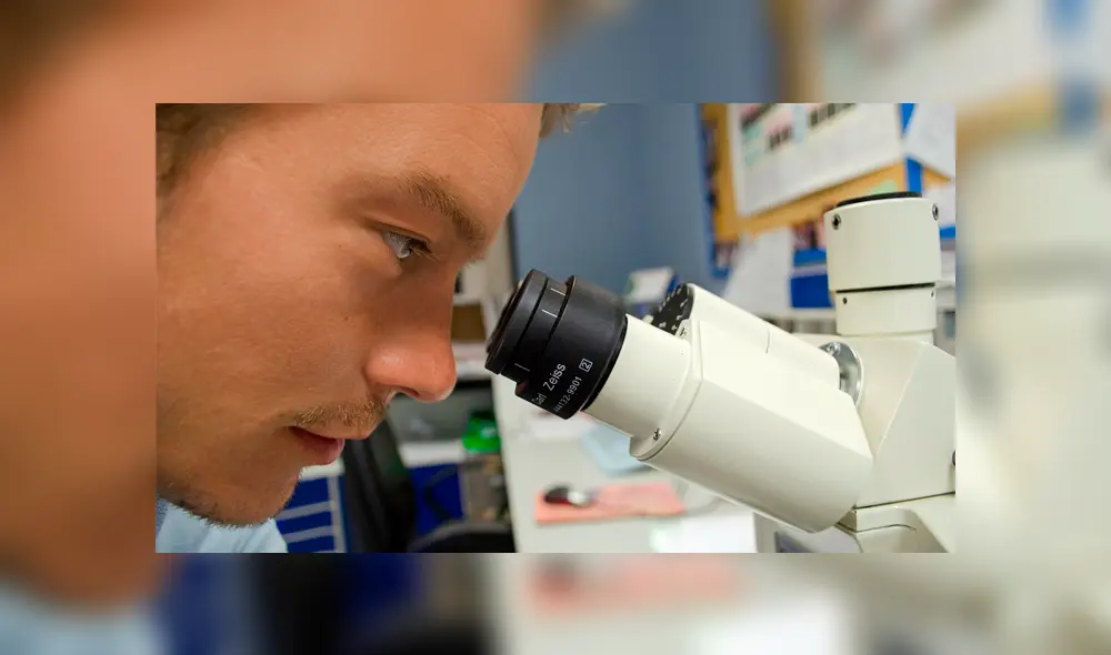 Los científicos son un grupo conformado por Centro de Investigación y de Estudios Avanzados.