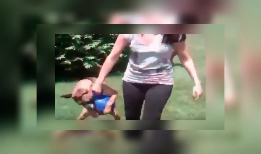 El can quería seguir jugando con su dueña y protagonizó un gracioso episodio que se ha hecho viral en Facebook