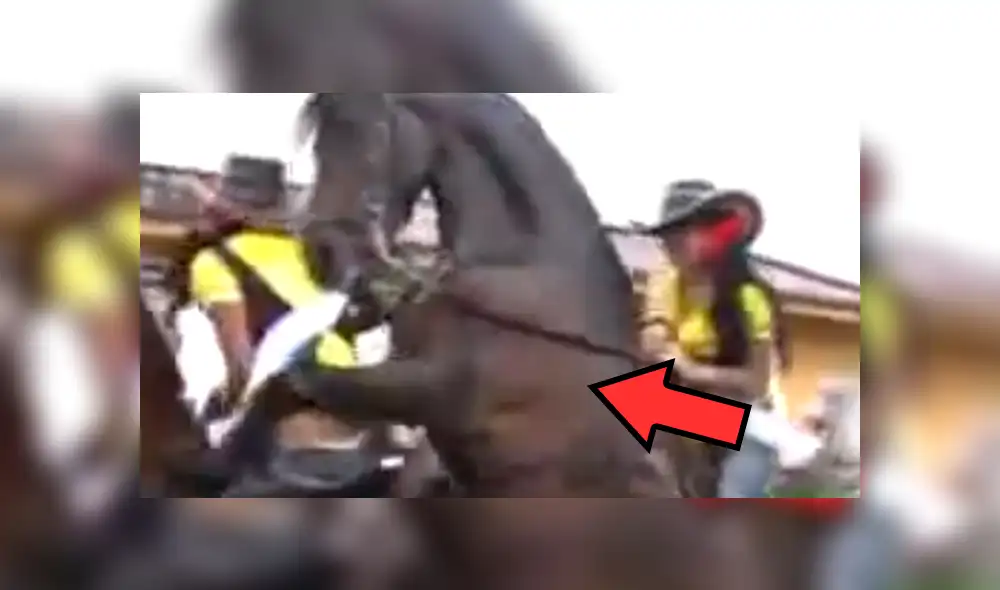 Facebook Viral: Reina de belleza en Colombia pasó terrible momento por culpa de caballo enamorado [VIDEO] 