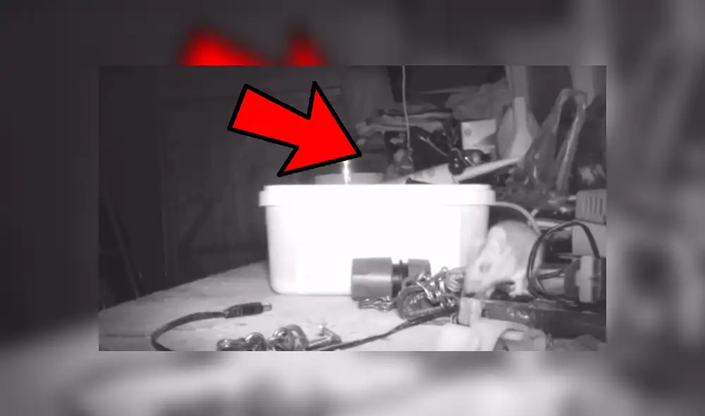 YouTube viral: ratón que ordenó casa por un mes dejó en shock a anciano que no se había percatado del hecho [VIDEO] 