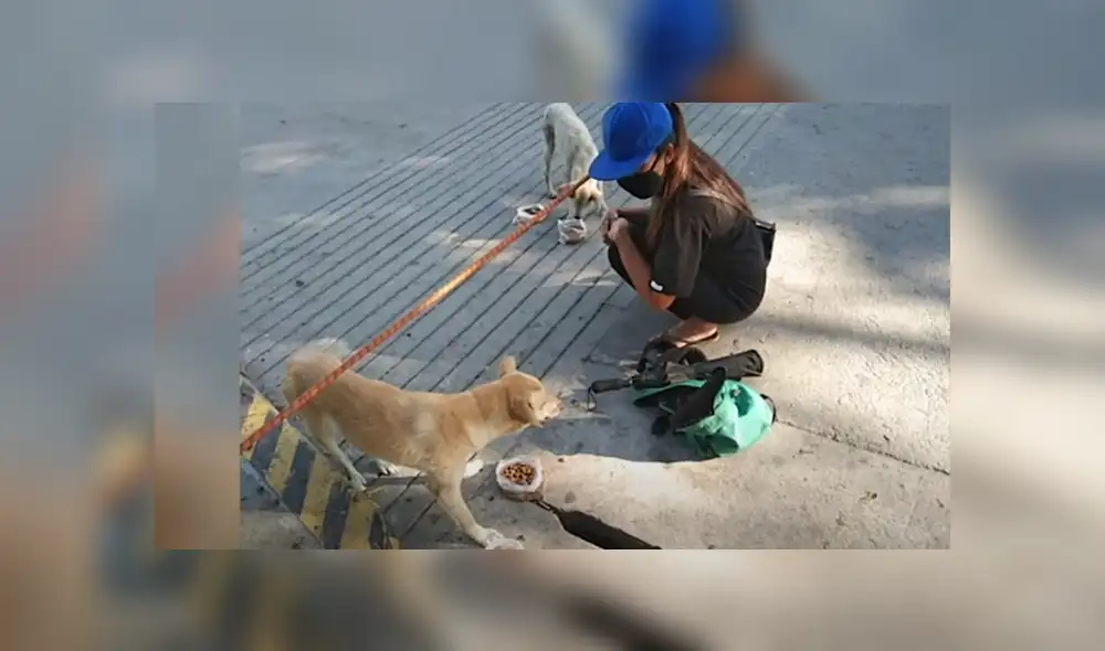 Desliza para ver los detalles del video viral publicado en YouTube. Foto: Captura.