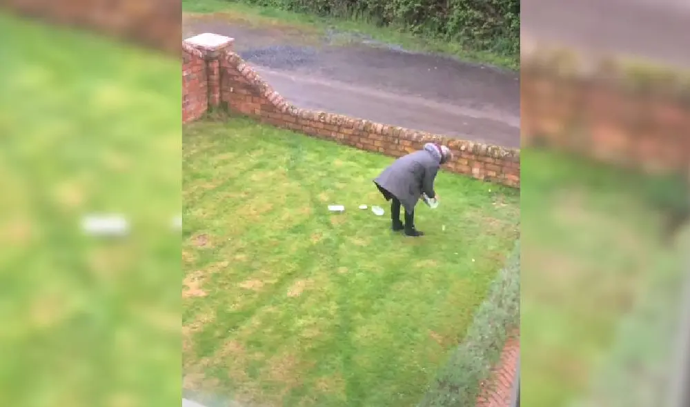 Desliza para ver la secuencia del viral. Foto: Captura/YouTube/ViralHog Desliza para ver la secuencia del viral. Foto: Captura/YouTube/ViralHog