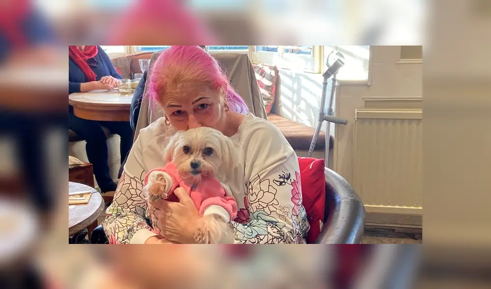 Lleva a su perro con cáncer terminal a comer su 'última’ cena y restaurante tiene emotivo gesto [FOTOS]