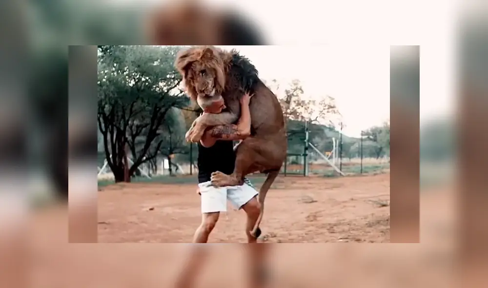 Desliza hacia la izquierda para ver el reencuentro del hombre con un enorme león que se volvió viral en YouTube.