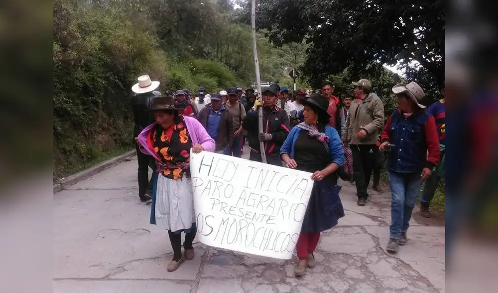 Denuncian que importación de papa arruina a productores nacionales Denuncian que importación de papa arruina a productores nacionales