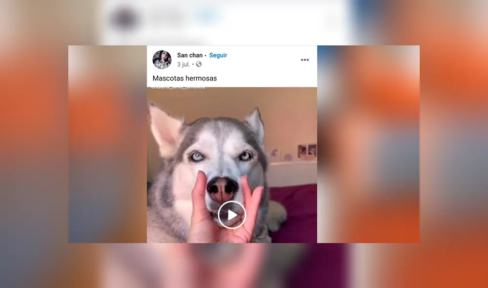 2. Ubica el video que quieres descargar. Foto: Captura. 2. Ubica el video que quieres descargar. Foto: Captura.