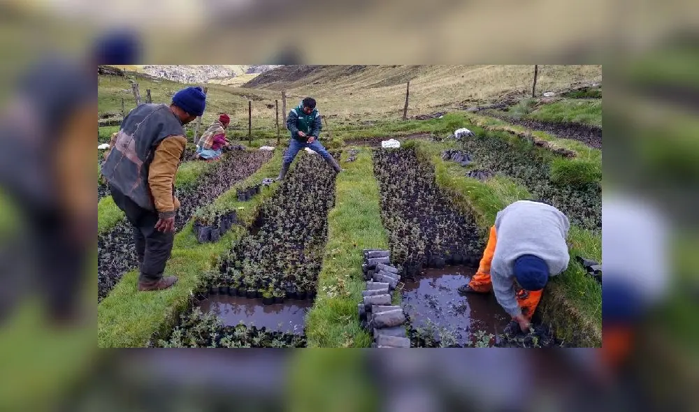 Bono Rural. Foto: Agro Rural Bono Rural. Foto: Agro Rural