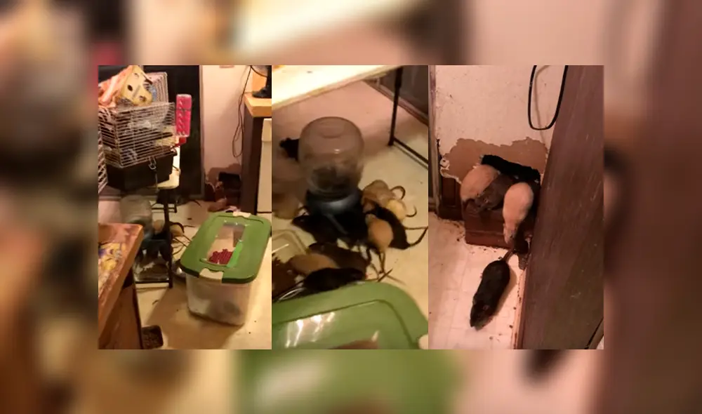 Desliza para ver los detalles del video viral de YouTube. Foto: Captura.