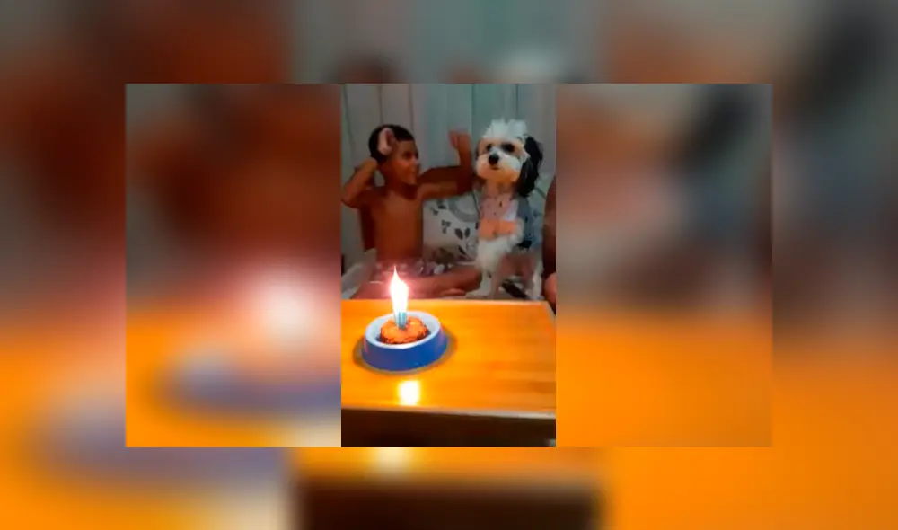 Desliza las imágenes para conocer la sorpresa que prepararon los integrantes de una familia para su mascota. Desliza las imágenes para conocer la sorpresa que prepararon los integrantes de una familia para su mascota.