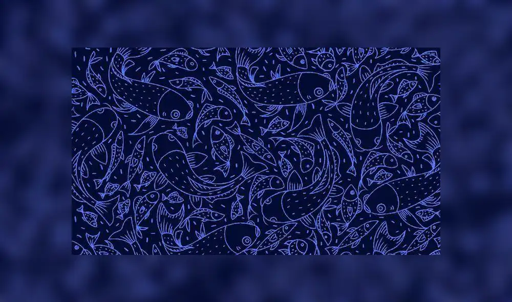 Desliza la imagen de Facebook para ver todas las fotos. Desliza la imagen de Facebook para ver todas las fotos.