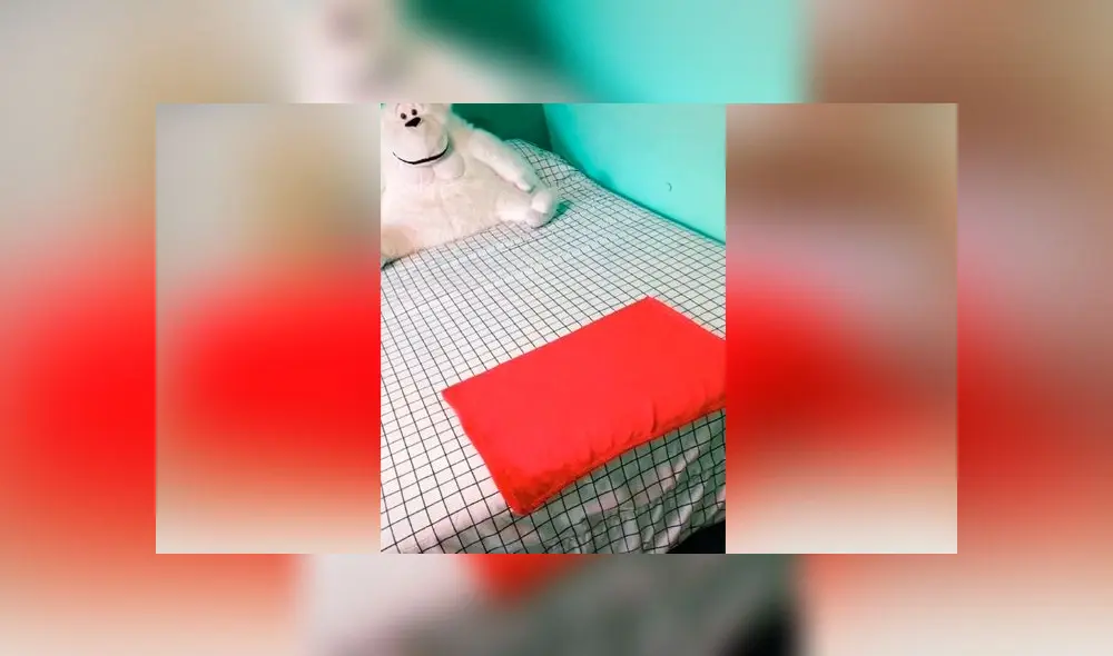 Desliza las imágenes para ver todo sobre este viral que ha generado risas en TikTok. Foto: Cande Actis/TikTok