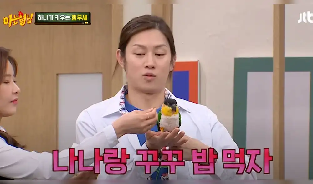 Sorry Sorry: Loro de Park Ha Na Sorry Sorry: Loro de Park Ha Na