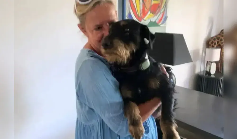 Pablo ya se encuentra a buen recaudo con sus dueños. Foto: captura de Facebook