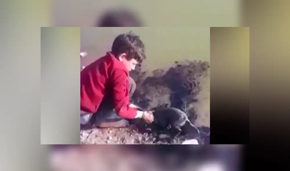 Desliza a la izquierda para ver las imágenes del valiente rescate. (Foto: captura)