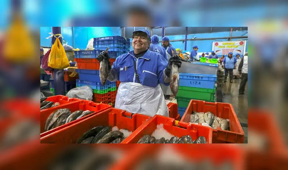 Produce garantiza abastecimiento de recursos pesqueros durante emergencia sanitaria. Foto: Difusión Produce garantiza abastecimiento de recursos pesqueros durante emergencia sanitaria. Foto: Difusión