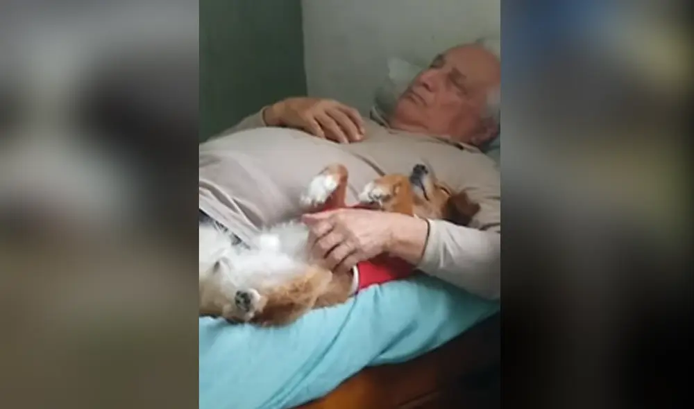 Desliza hacia la izquierda para ver las imágenes del video viral. Foto: captura de Facebook. Desliza hacia la izquierda para ver las imágenes del video viral. Foto: captura de Facebook.
