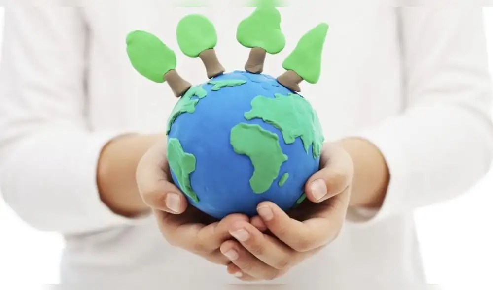 Protecting the forests and ecology concept