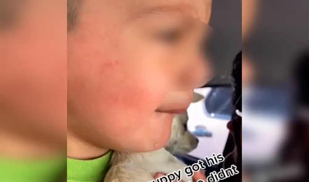 Desliza las imágenes para ver la tierna reacción del niño al vacunar a su mascota. Foto: TikTok