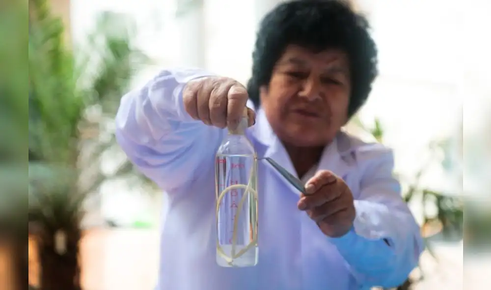 Cuidado: Parásitos intestinales pueden causar anemia