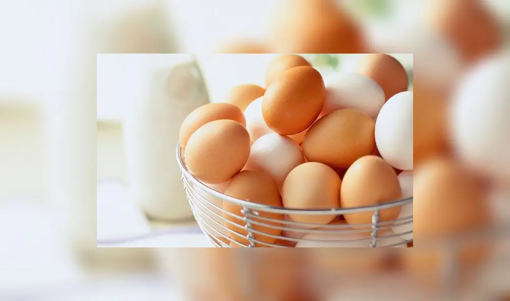 Aprueban requisitos sanitarios para importación de huevos de Brasil Aprueban requisitos sanitarios para importación de huevos de Brasil