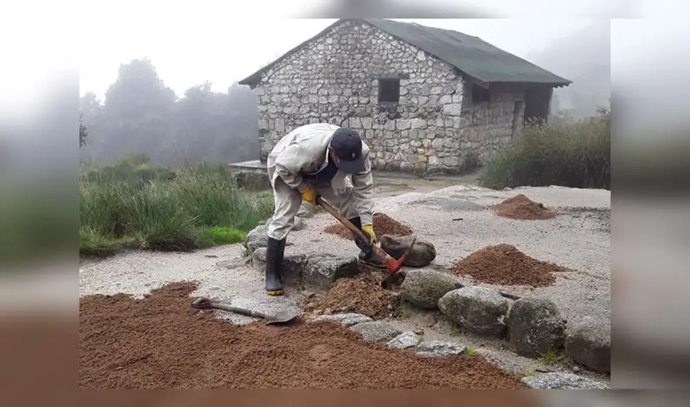 Intensifican trabajos de conservación en la red de Caminos Inca