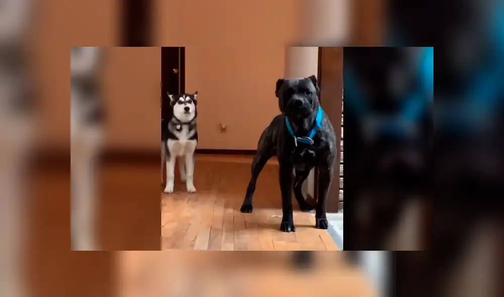 Desliza la imagen de YouTube para verlas todas. Desliza la imagen de YouTube para verlas todas.