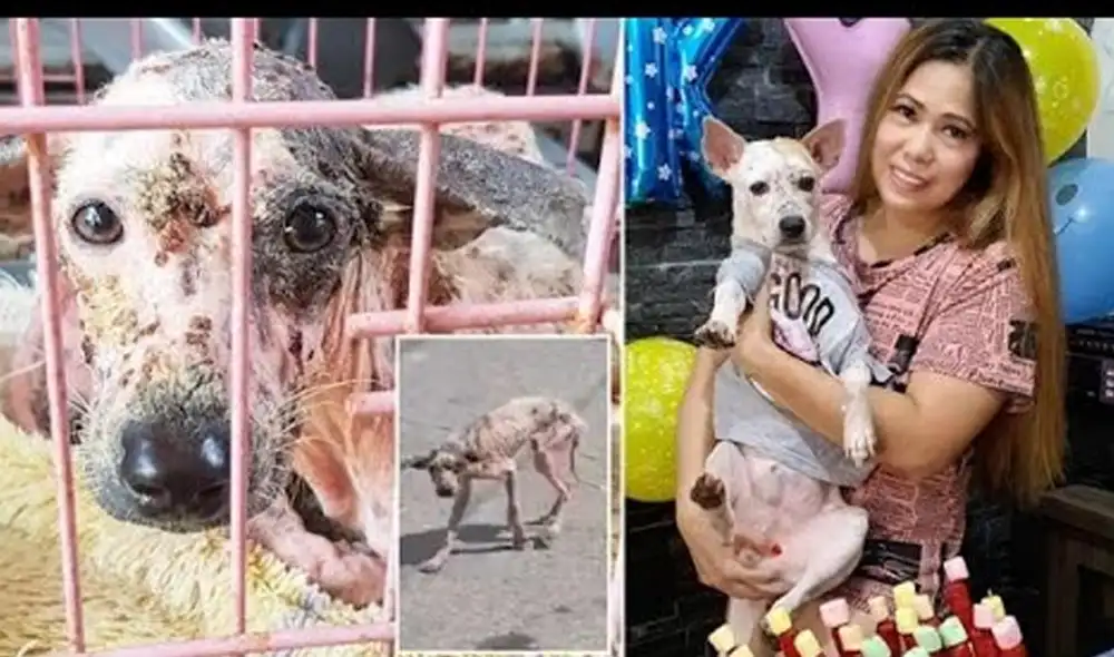 Desliza hacia la izquierda para ver las imágenes del video viral. Foto: captura de YouTube. Desliza hacia la izquierda para ver las imágenes del video viral. Foto: captura de YouTube.