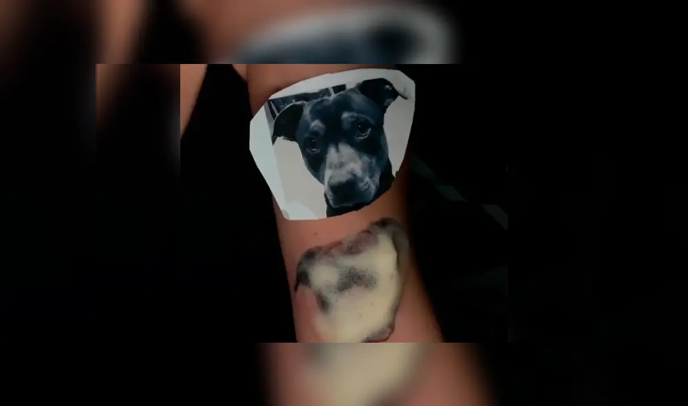 Desliza hacia la izquierda para ver el tatuaje que se hizo un joven con el rostro de su perro que se volvió viral en YouTube. Desliza hacia la izquierda para ver el tatuaje que se hizo un joven con el rostro de su perro que se volvió viral en YouTube.