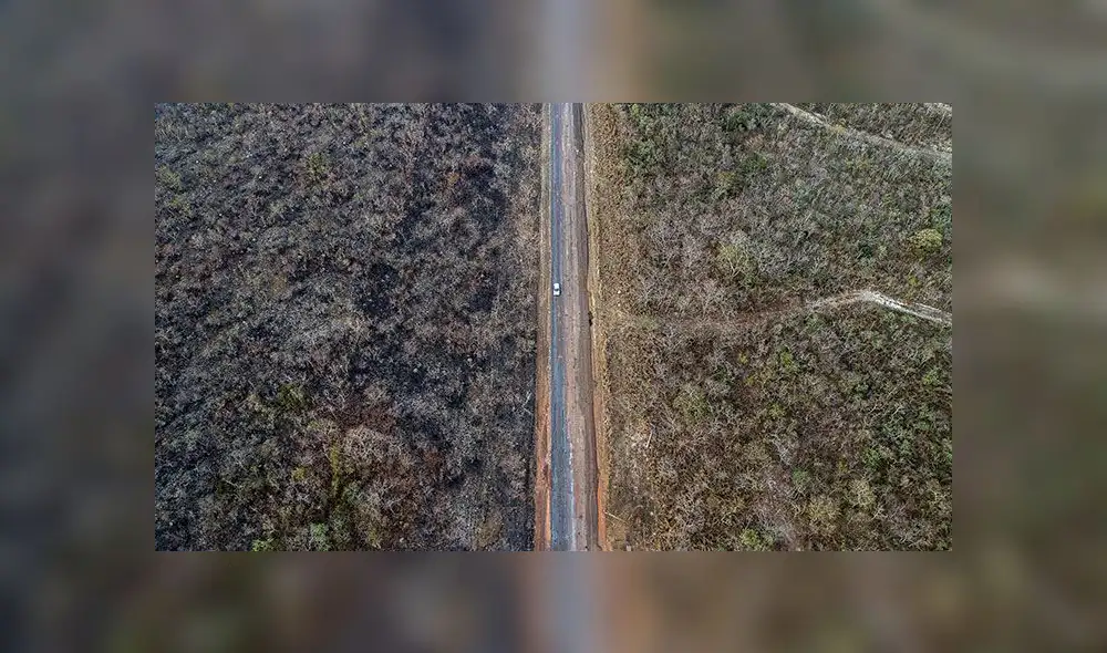 Así se extiende el fuego en la amazonía de Brasil [FOTOS - VIDEO]