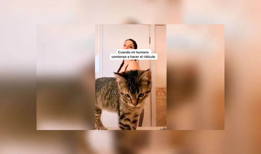 Desliza las imágenes para apreciar la travesura de un gato cuando su dueña realizaba una atrevida coreografía. Foto: Captura. Desliza las imágenes para apreciar la travesura de un gato cuando su dueña realizaba una atrevida coreografía. Foto: Captura.