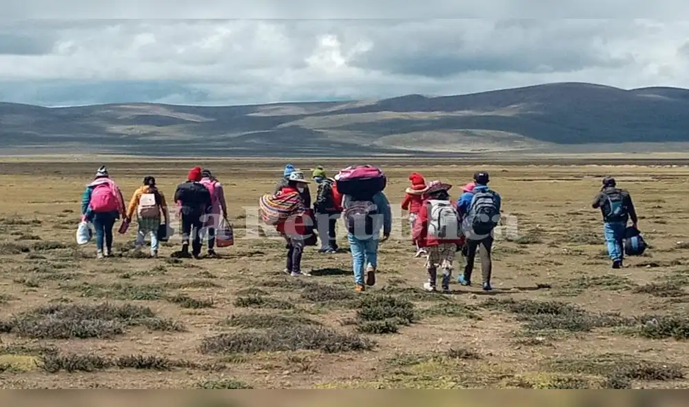 Junto a sus padres, los pequeños viajan a pie desde Arequipa hacia regiones del sur. Junto a sus padres, los pequeños viajan a pie desde Arequipa hacia regiones del sur.