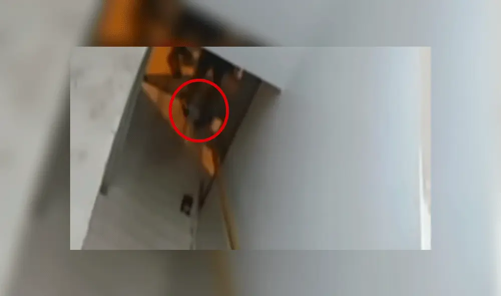 Jóvenes descuartizados ingresando a hostal