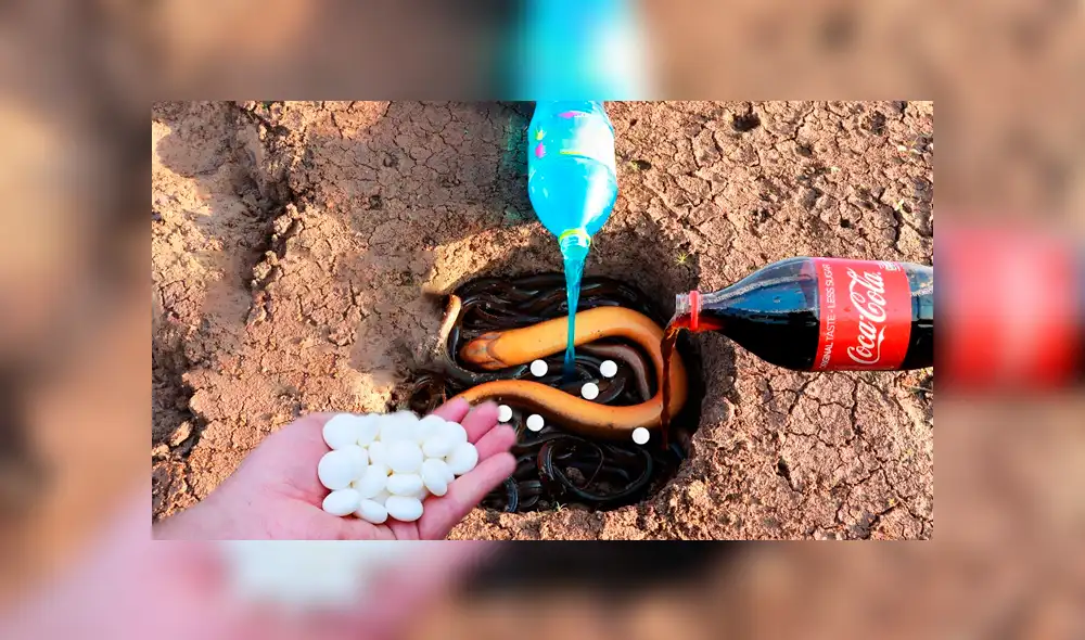 Desliza hacia la izquierda para ver el hallazgo que hizo un pensado y se hizo viral en YouTube.