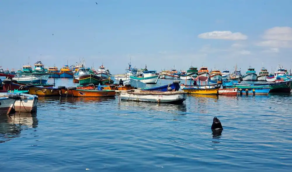 . Foto: A. Ruesta/URPI-LR