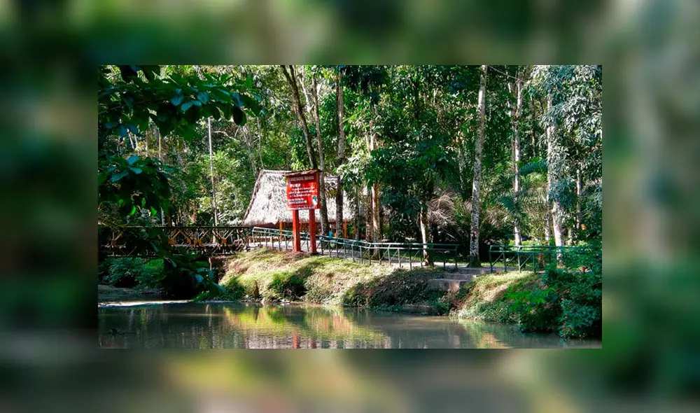 Tingo María: parque nacional ofrece aventura y diversidad