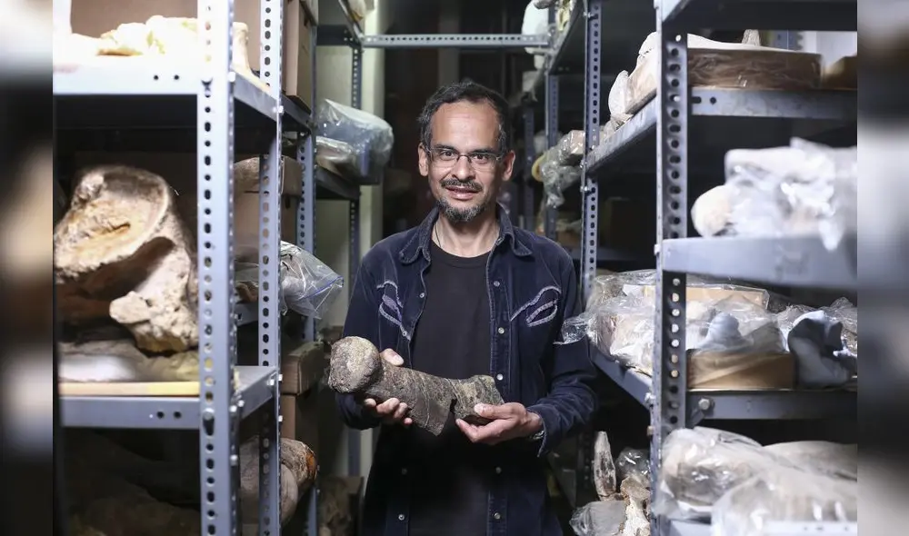 Plesiosaurio en Chorrillos