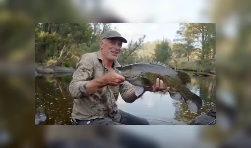 Desliza hacia la izquierda para ver al enrome pez que se hizo viral en YouTube. Desliza hacia la izquierda para ver al enrome pez que se hizo viral en YouTube.