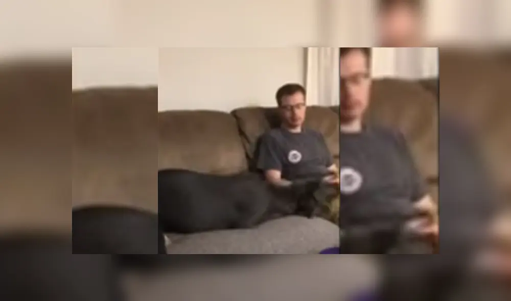 Video es viral en TikTok. Hombre se negó a darle un poco de su comida al can y este hizo de todo para hacer que este le invite. Video es viral en TikTok. Hombre se negó a darle un poco de su comida al can y este hizo de todo para hacer que este le invite.