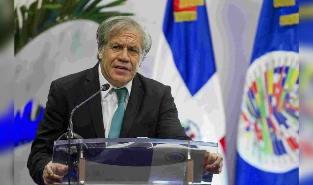Almagro pide a Zapatero que "no sea imbécil" al hablar sobre Venezuela Almagro pide a Zapatero que "no sea imbécil" al hablar sobre Venezuela