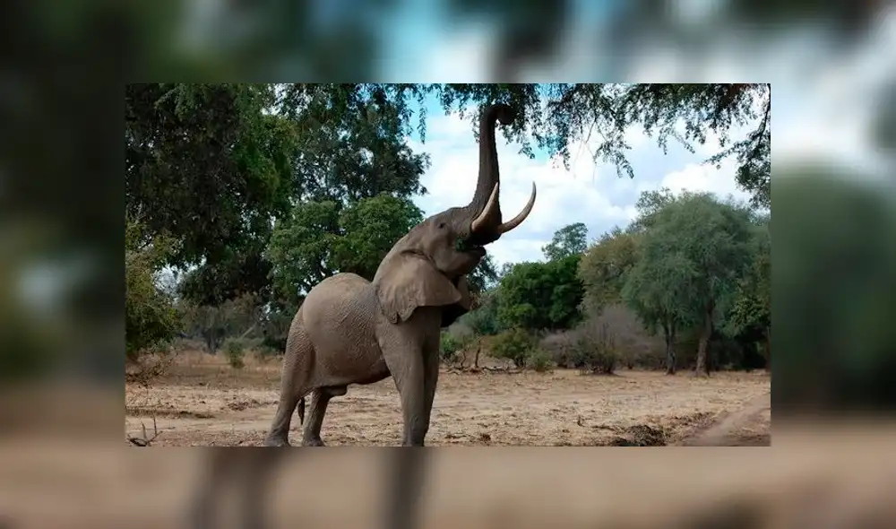 Desliza para ver las fotos que conmovieron a miles en Facebook. Foto: Captura. Desliza para ver las fotos que conmovieron a miles en Facebook. Foto: Captura.