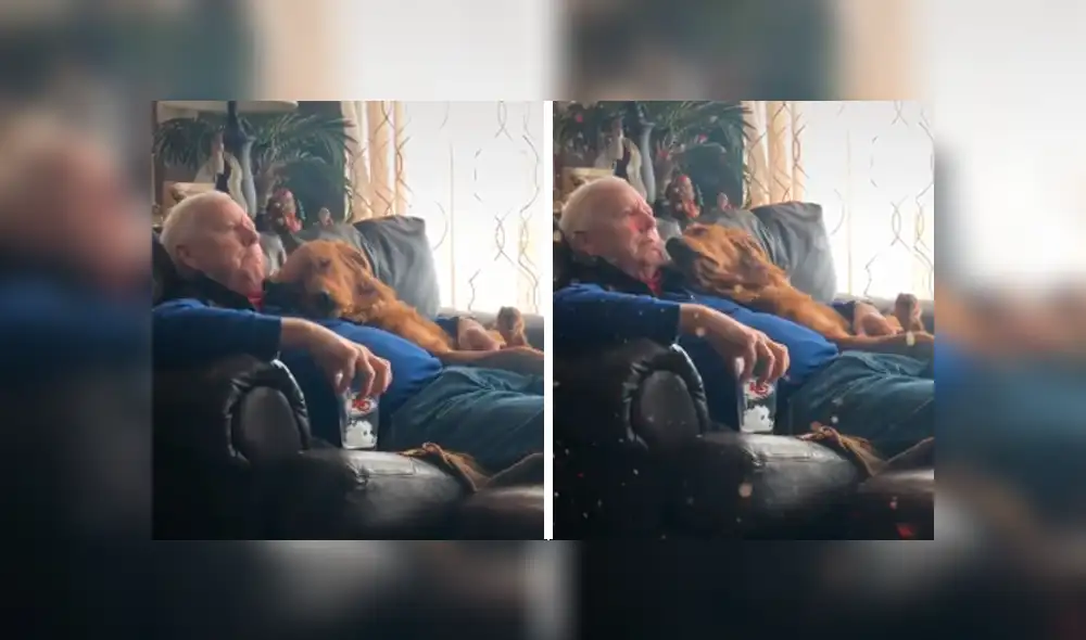 Desliza las imágenes hacia la izquierda para apreciar la conmovedora escena protagonizada por un anciano y su perro. Desliza las imágenes hacia la izquierda para apreciar la conmovedora escena protagonizada por un anciano y su perro.