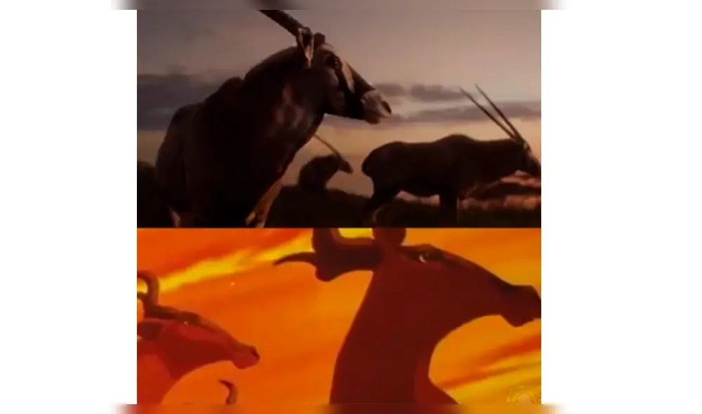 El Rey León: Comparten increíble comparación entre live action y película animada [VIDEO]