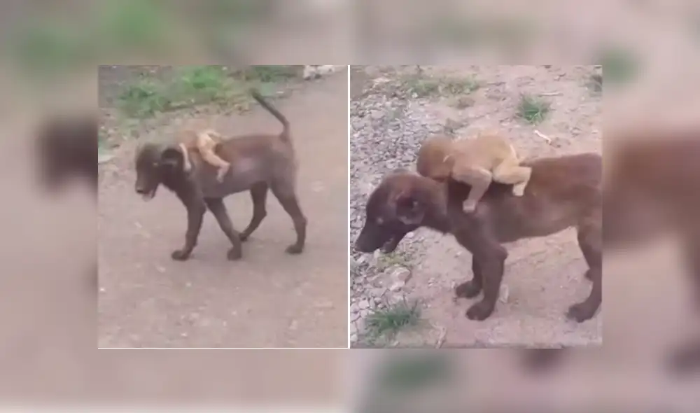 Desliza para ver los momentos más conmovedores del video que se hizo viral en Facebook.