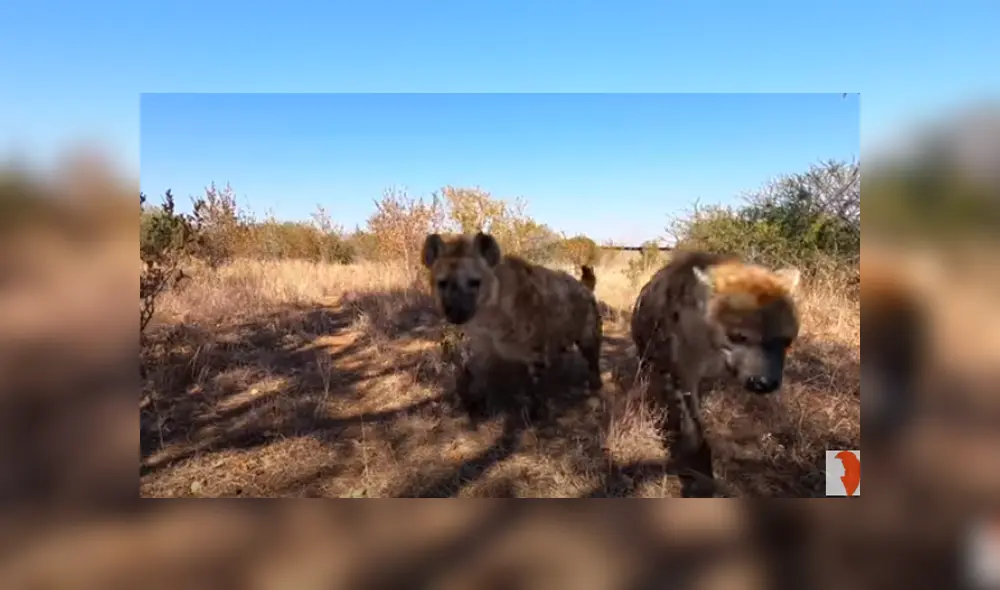 Desliza hacia la izquierda para ver las imágenes del viral de YouTube. Foto: Captura.