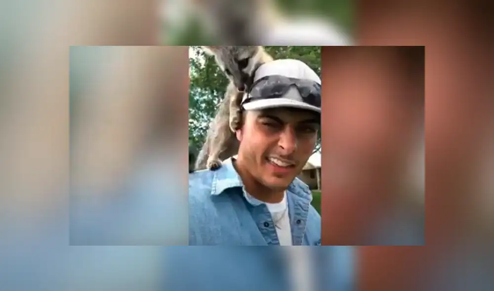 Desliza las imágenes para conocer la verdadera raza de un animal que fue rescatado por un joven. Foto: Caters Clips. Desliza las imágenes para conocer la verdadera raza de un animal que fue rescatado por un joven. Foto: Caters Clips.