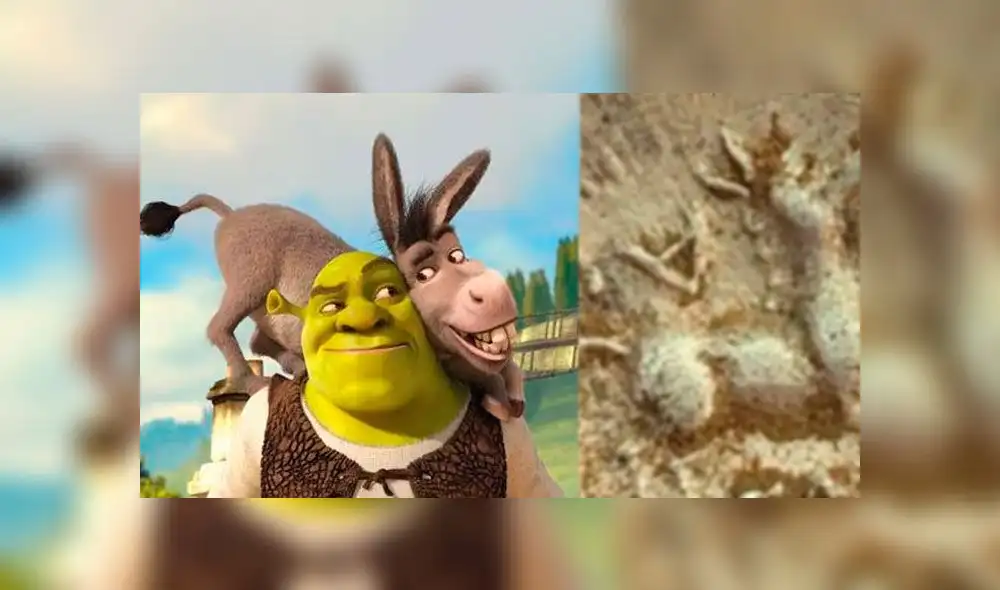 Ron Silvester descubrió la insólita imagen dentro de una moneda. Foto: Composición Ron Silvester descubrió la insólita imagen dentro de una moneda. Foto: Composición