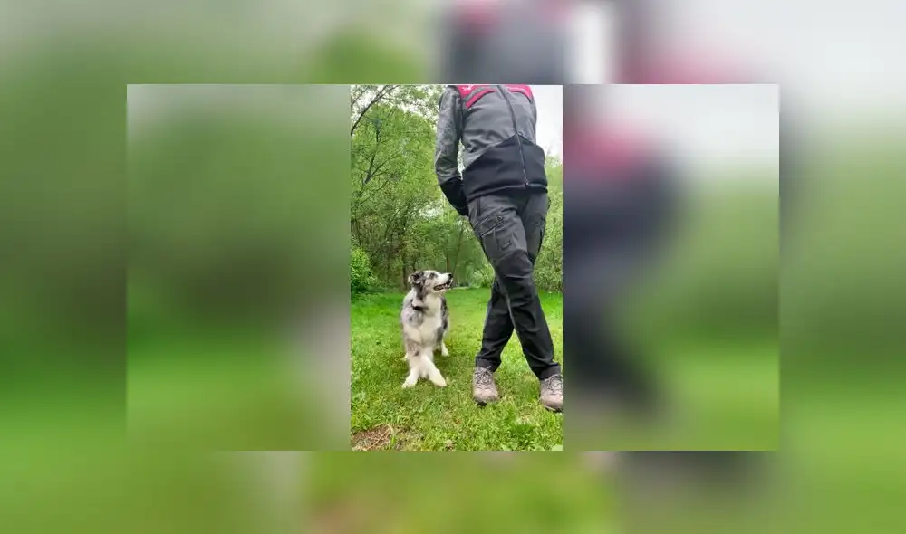 Desliza las imágenes para ver la peculiar sorpresa que se llevó una mujer al revisar el teléfono de su madre  verla bailar junto a su perro. Foto: TikTok