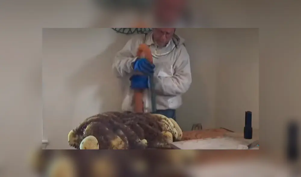 Desliza hacia la izquierda para ver las imágenes del viral de Facebook. Foto: Captura. Desliza hacia la izquierda para ver las imágenes del viral de Facebook. Foto: Captura.