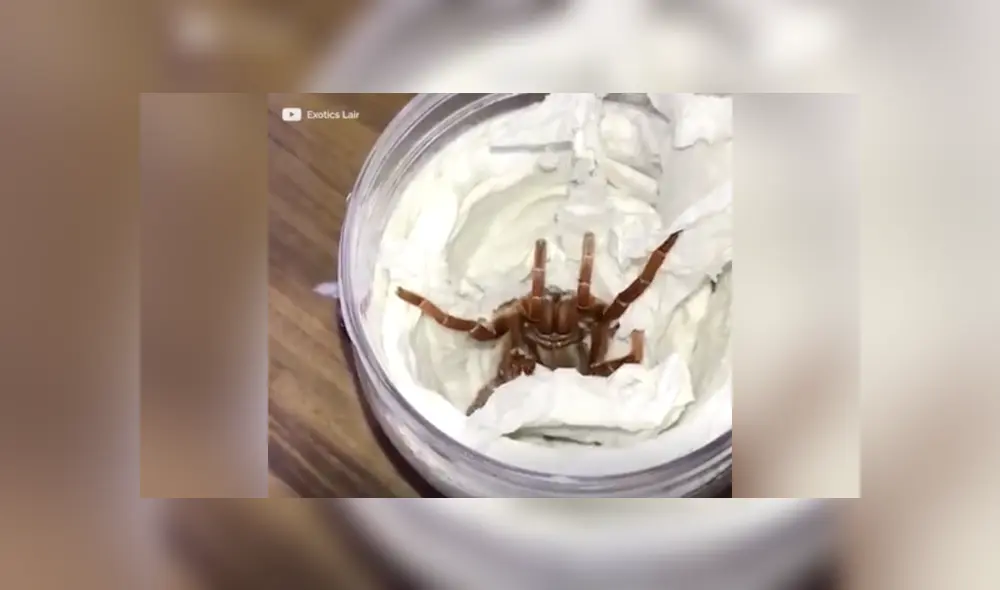 Desliza a la izquierda para conocer más sobre este terrorífico descubrimiento que ahora es viral en YouTube. Foto: Captura.