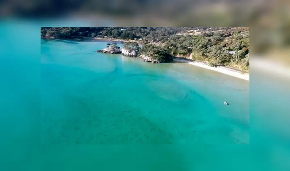 Desliza para ver los momentos más impactantes del video que se hizo viral en YouTube. Desliza para ver los momentos más impactantes del video que se hizo viral en YouTube.